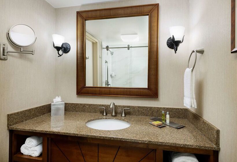 فندق Doubletree Beach Resort By Hilton Tampa Bay   North Redingto