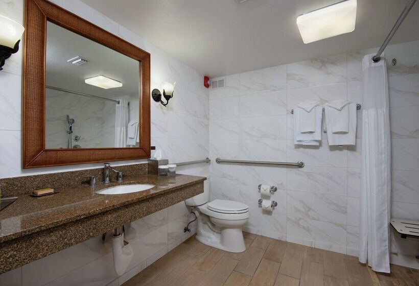 فندق Doubletree Beach Resort By Hilton Tampa Bay   North Redingto