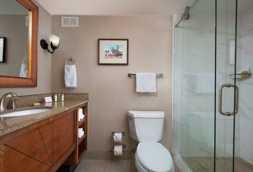 בית מלון כפרי Doubletree Beach Resort By Hilton Tampa Bay   North Redingto