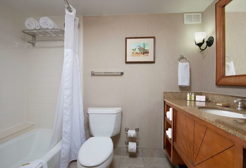 فندق Doubletree Beach Resort By Hilton Tampa Bay   North Redingto