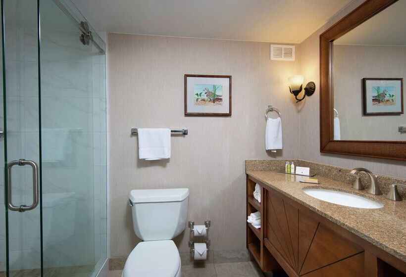 فندق Doubletree Beach Resort By Hilton Tampa Bay   North Redingto