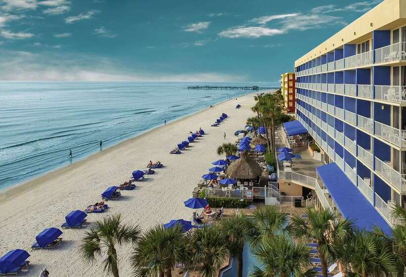 فندق Doubletree Beach Resort By Hilton Tampa Bay   North Redingto