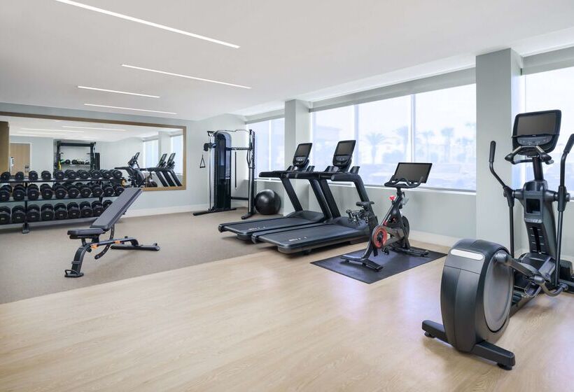 فندق Doubletree Beach Resort By Hilton Tampa Bay   North Redingto