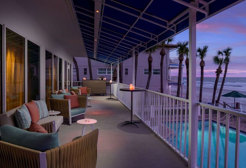 فندق Doubletree Beach Resort By Hilton Tampa Bay   North Redingto