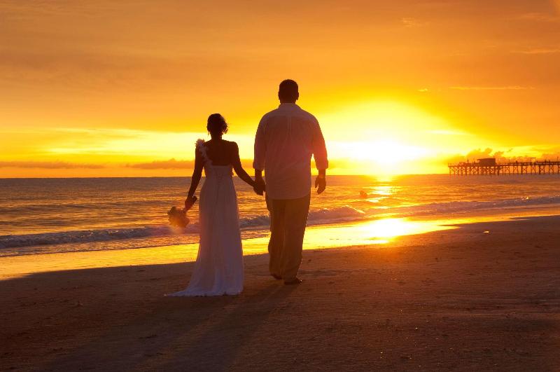 فندق Doubletree Beach Resort By Hilton Tampa Bay   North Redingto