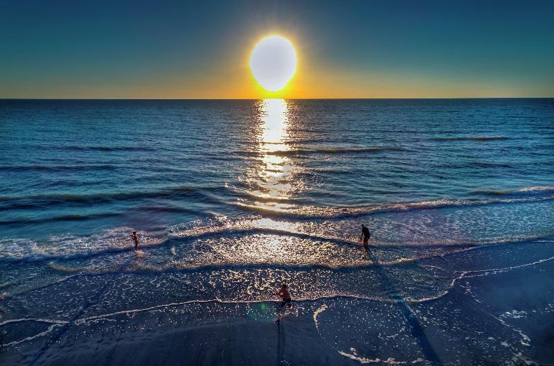 فندق Doubletree Beach Resort By Hilton Tampa Bay   North Redingto