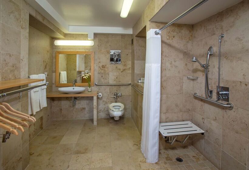 Grand Naniloa Hotel Hilo   A Doubletree By Hilton