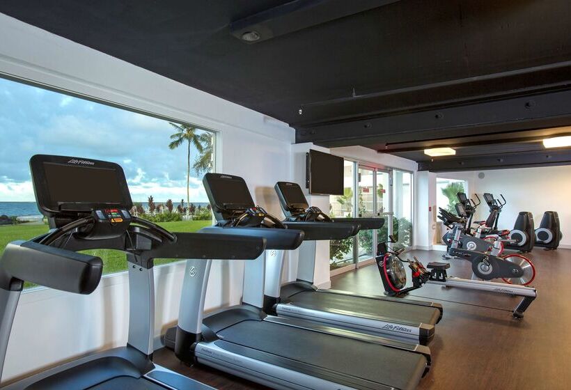 Grand Naniloa Hotel Hilo   A Doubletree By Hilton