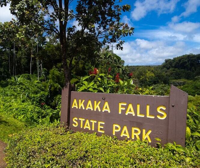 Grand Naniloa Hotel Hilo   A Doubletree By Hilton