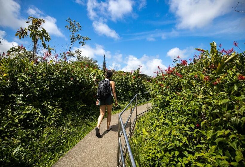 Grand Naniloa Hotel Hilo   A Doubletree By Hilton