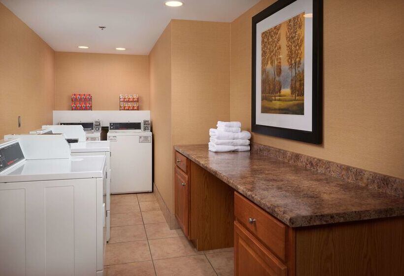 호텔 Hampton Inn Ann Arborsouth