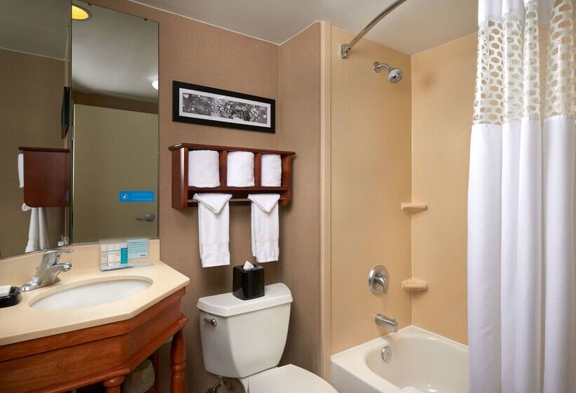 호텔 Hampton Inn Ann Arborsouth