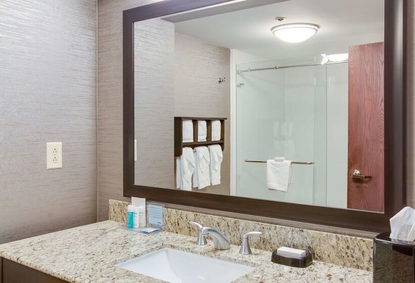 هتل Hampton Inn Bellevue / Nashvillei40 West