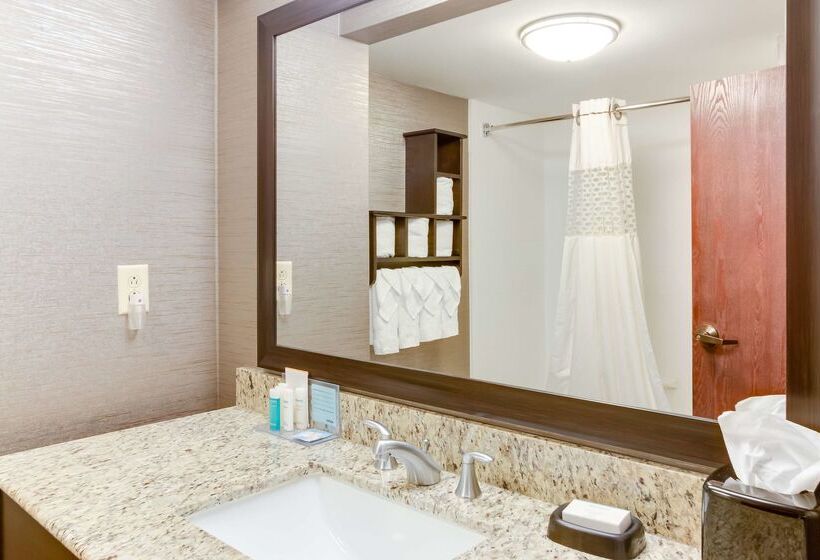 هتل Hampton Inn Bellevue / Nashvillei40 West