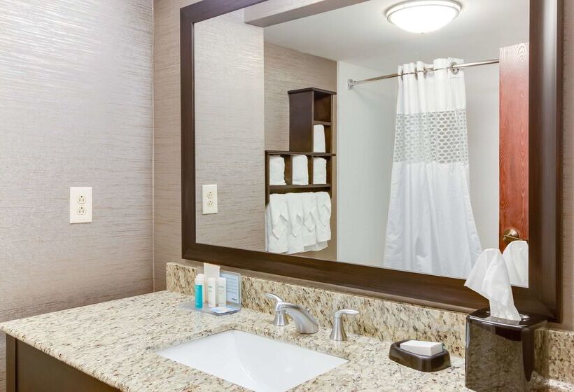 هتل Hampton Inn Bellevue / Nashvillei40 West