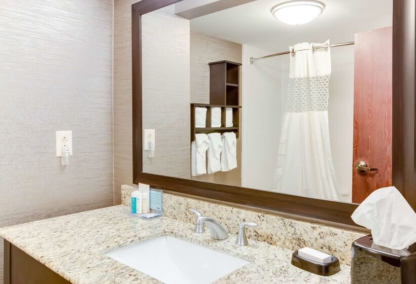 هتل Hampton Inn Bellevue / Nashvillei40 West