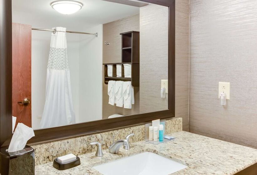 هتل Hampton Inn Bellevue / Nashvillei40 West