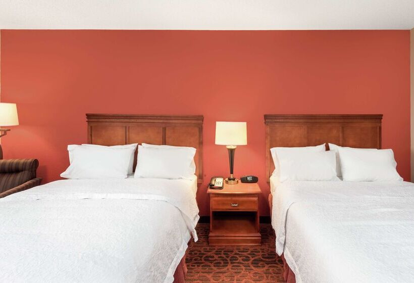בית מלון כפרי Hampton Inn By Hilton Branson On The Strip