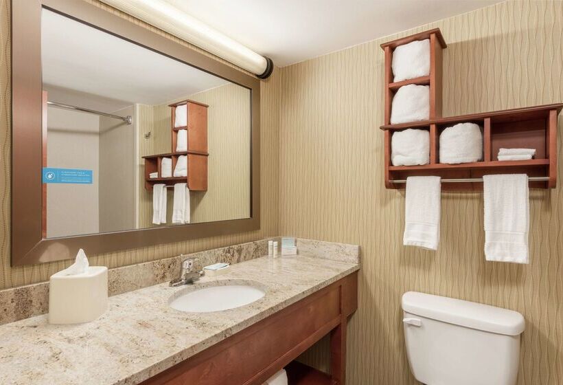 בית מלון כפרי Hampton Inn By Hilton Branson On The Strip