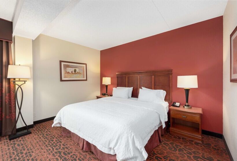 בית מלון כפרי Hampton Inn By Hilton Branson On The Strip