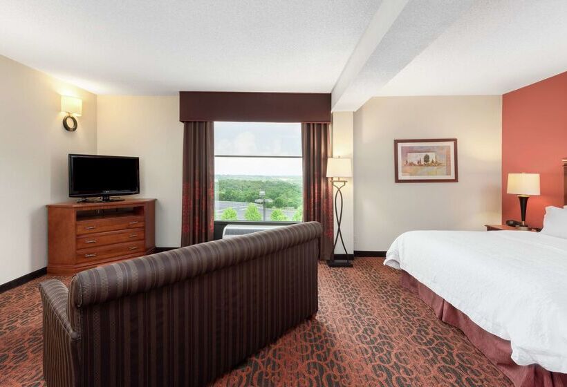 בית מלון כפרי Hampton Inn By Hilton Branson On The Strip