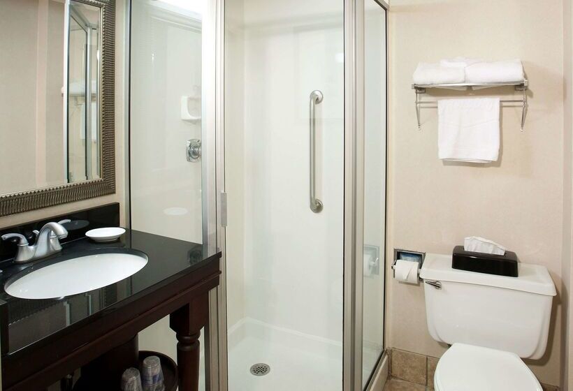 בית מלון כפרי Hampton Inn Pittsburgh University/medical Center