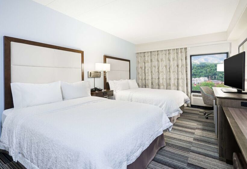 בית מלון כפרי Hampton Inn Pittsburgh University/medical Center