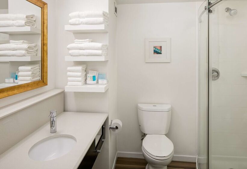 هتل Hampton Inn & Suites Nashvilleairport