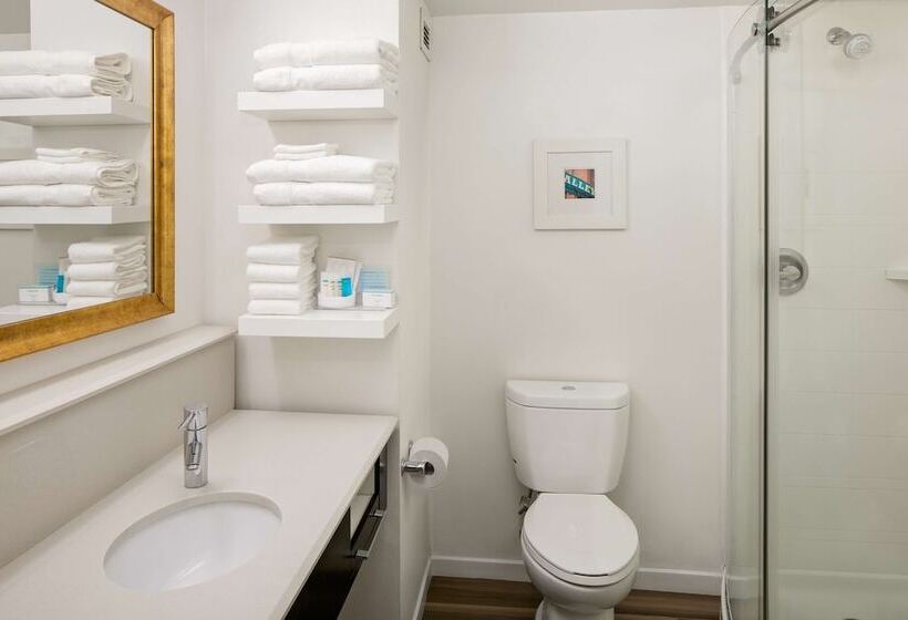 هتل Hampton Inn & Suites Nashvilleairport