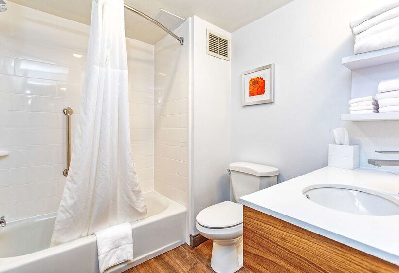 בית מלון כפרי Hampton Inn Williamsportdowntown