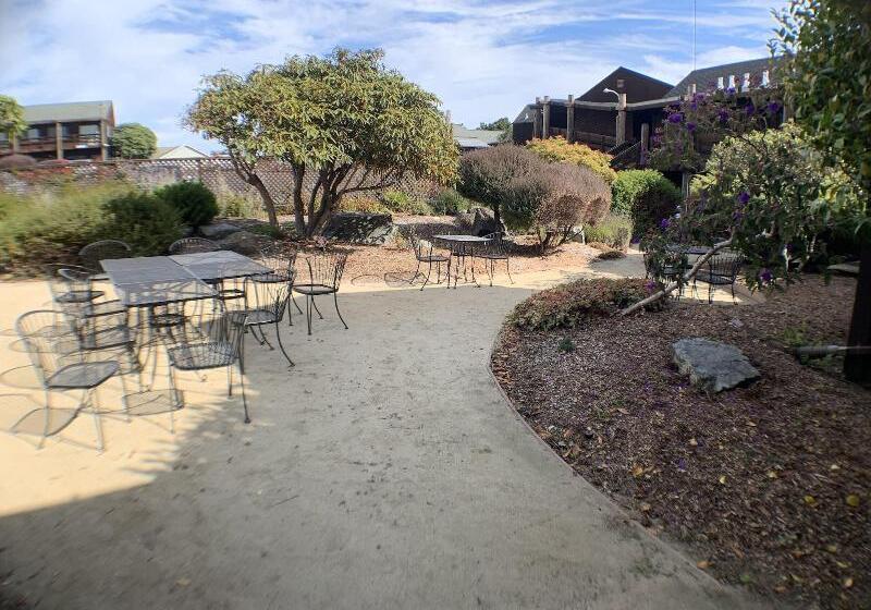 فندق Harbor Lite Lodge