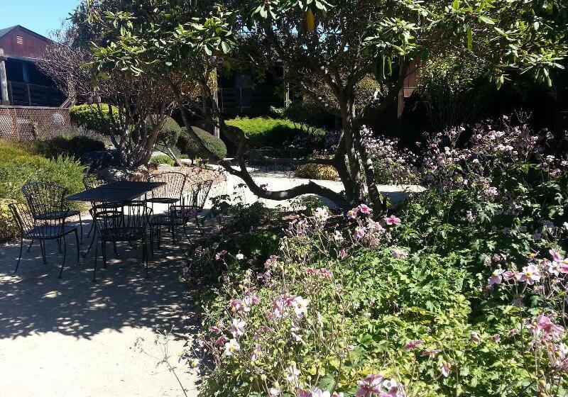 فندق Harbor Lite Lodge