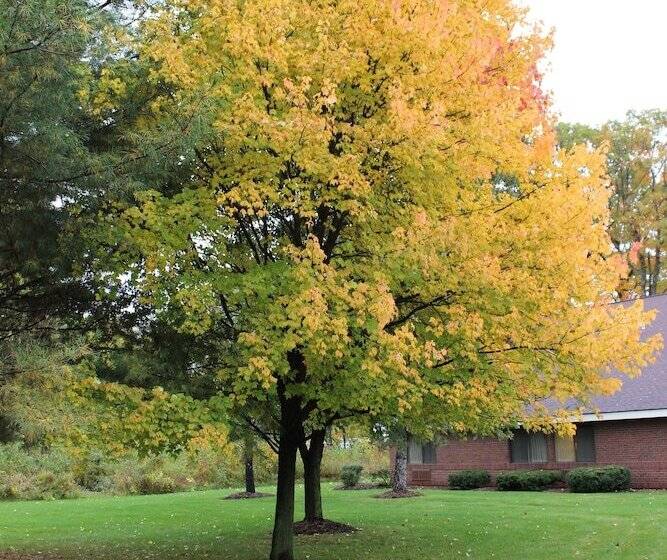 호텔 The Harrington Inn