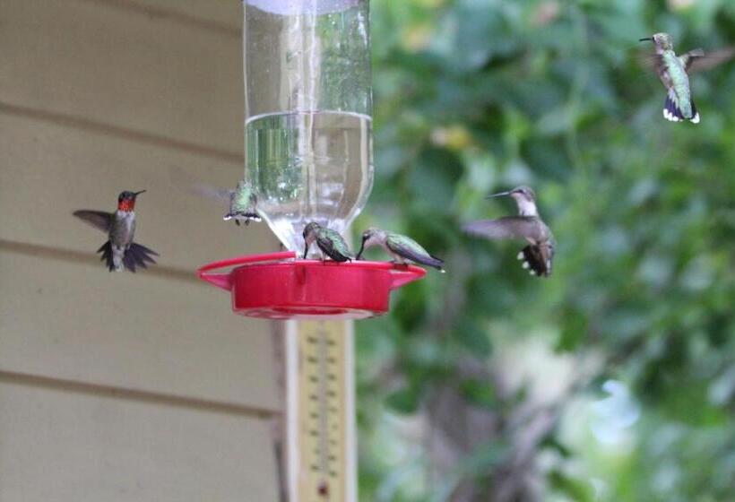 فندق Heartstone Inn