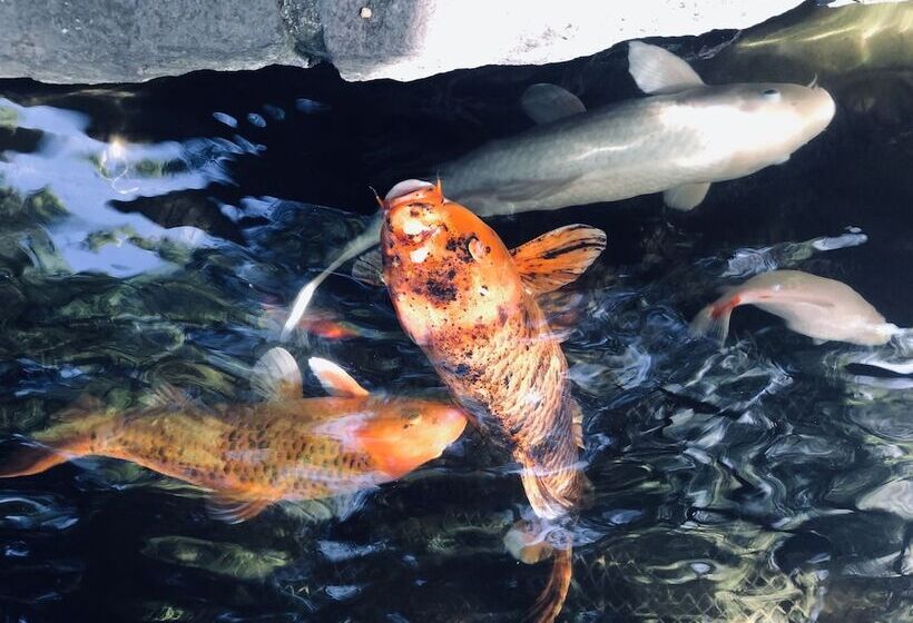 فندق Heathman Lodge