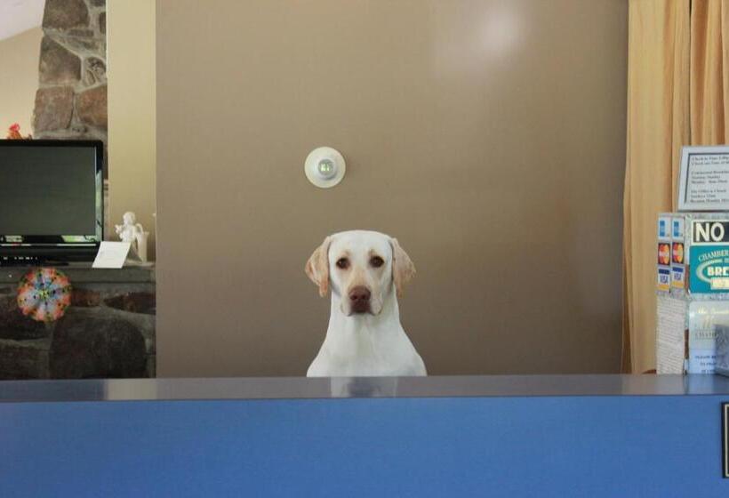 בית מלון כפרי Heidi's Inn