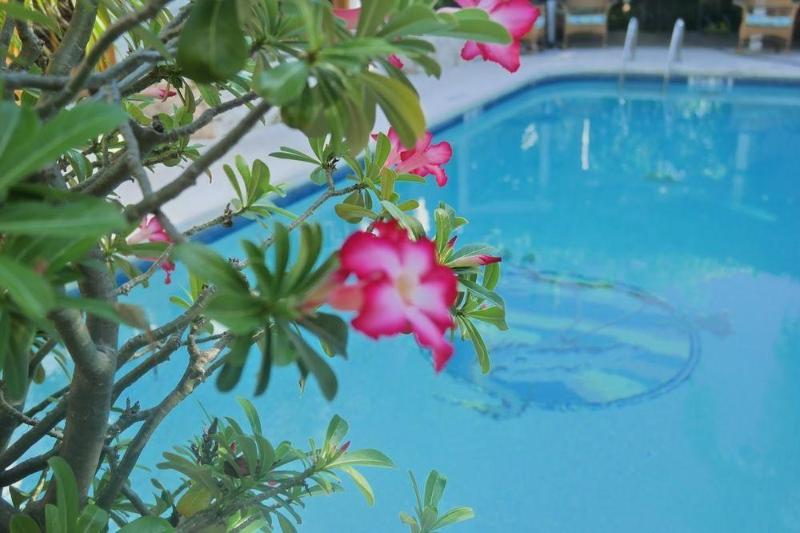 فندق Heron House   Adult Only