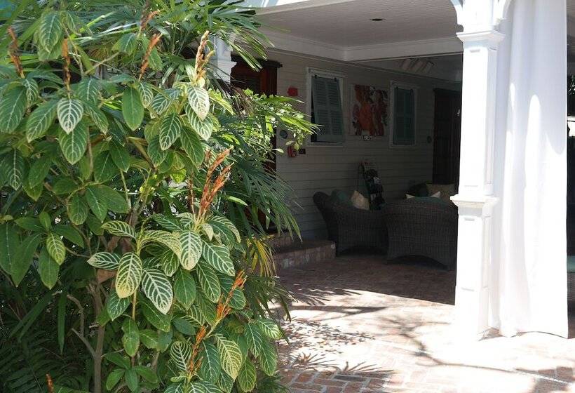 فندق Heron House   Adult Only