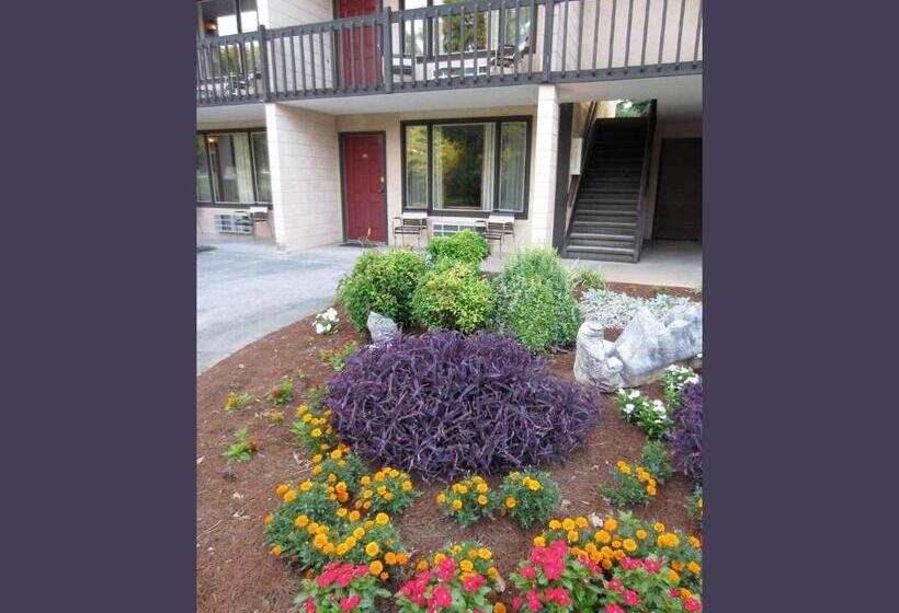 فندق Highland Manor Inn