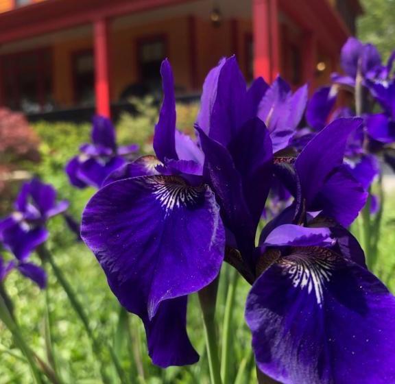 호텔 Hill House Bed And Breakfast