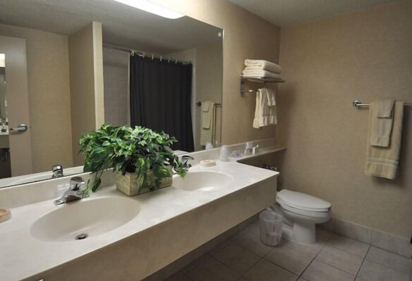 فندق Hillside Inn