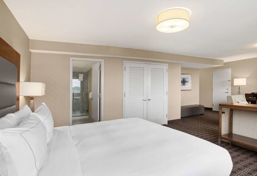 酒店 Hilton Arlington National Landing