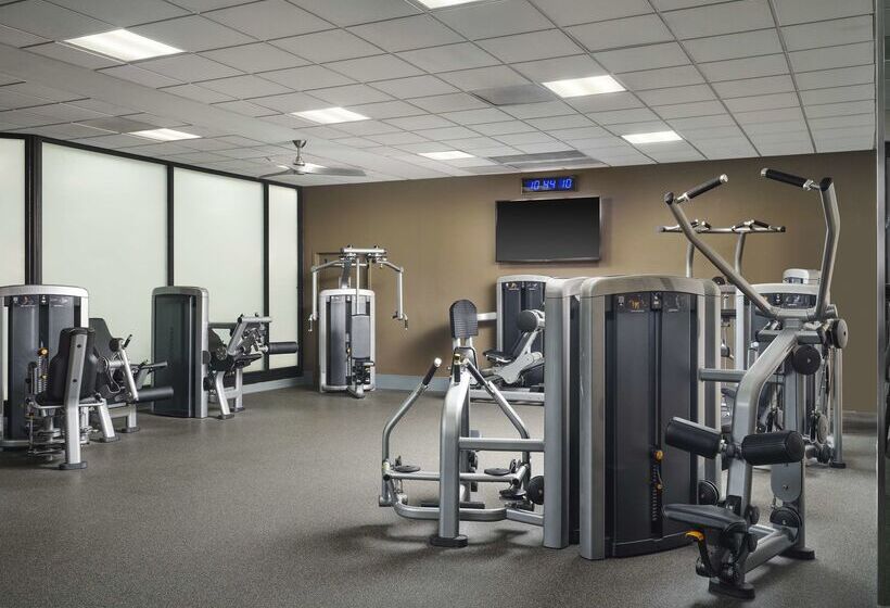 هتل Hilton Chicago O'Hare Airport