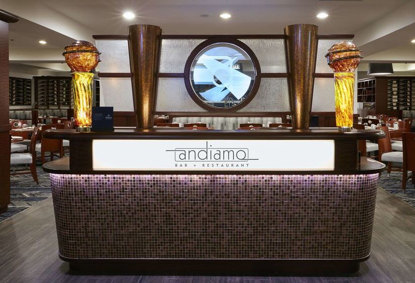 هتل Hilton Chicago O'Hare Airport