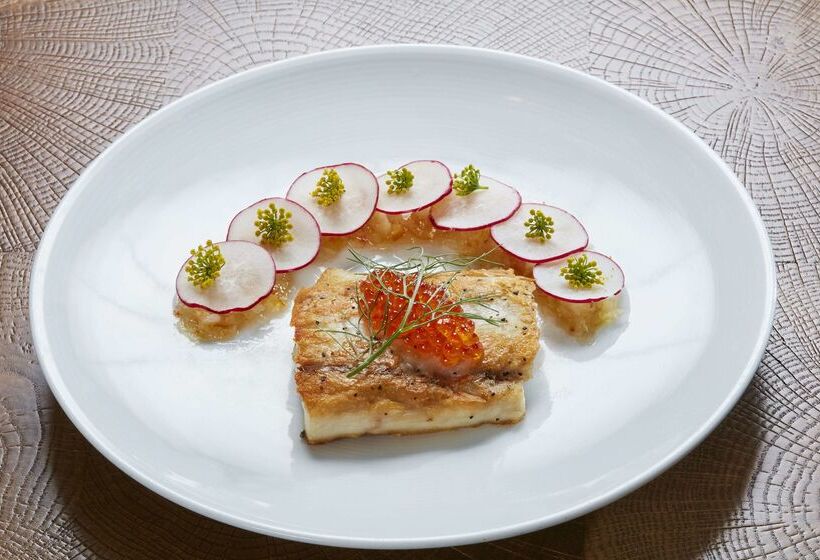 هتل Hilton Chicago O'Hare Airport