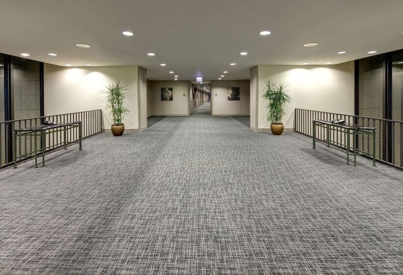 هتل Hilton Chicago O'Hare Airport
