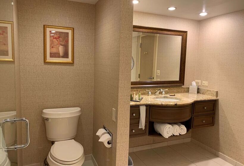 فندق Hilton Chicago/northbrook