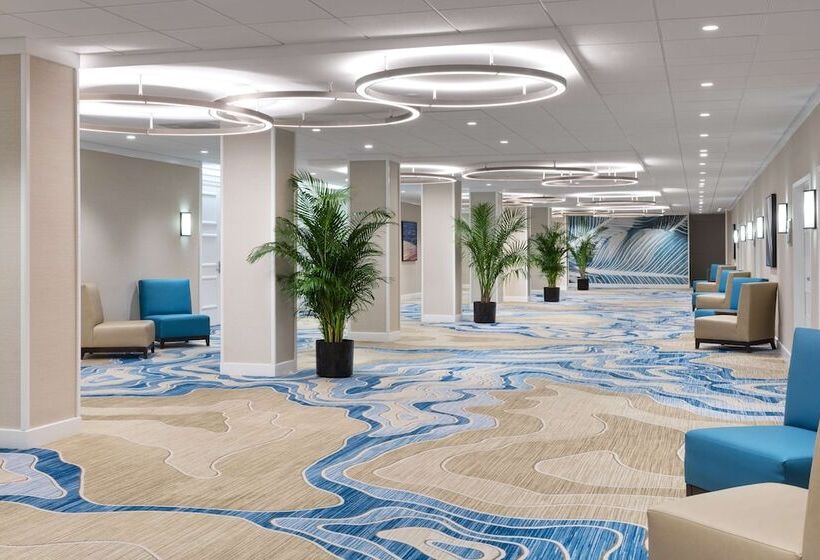 فندق Hilton Clearwater Beach Resort & Spa