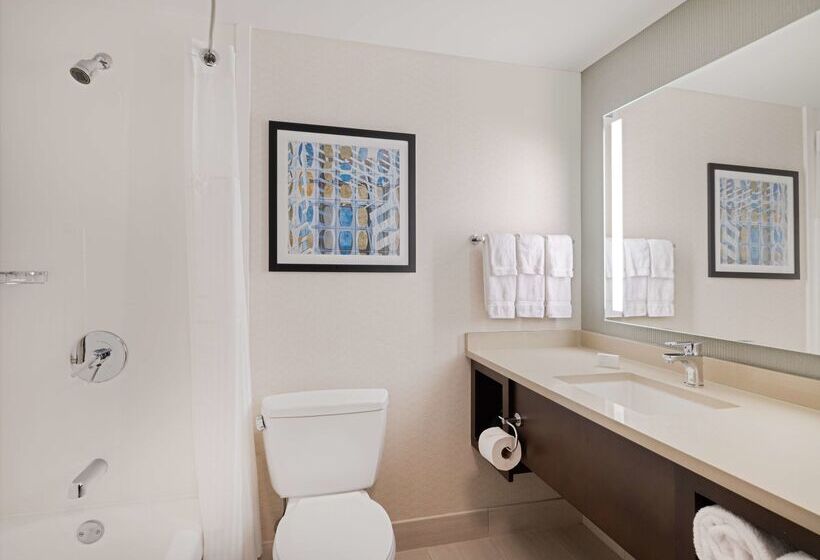 هتل Hilton Garden Inn Chicago Downtown/magnificent Mile