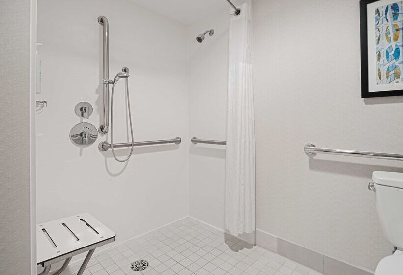 هتل Hilton Garden Inn Chicago Downtown/magnificent Mile